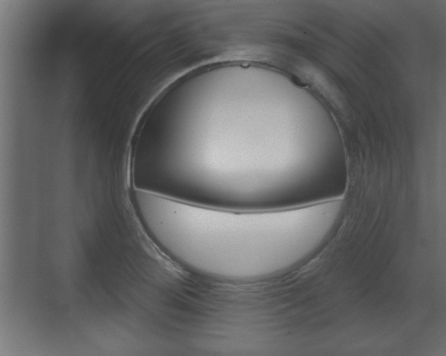X0000073481276200607310841