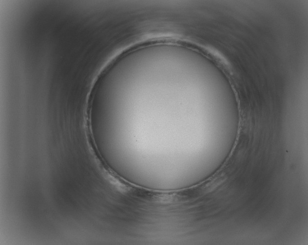 X0000073481279200607310841
