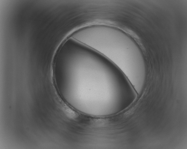 X0000073481280200607310841