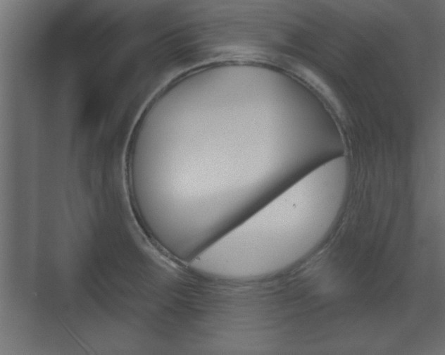 X0000073481283200607310841