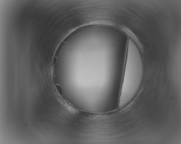 X0000073481284200607310841