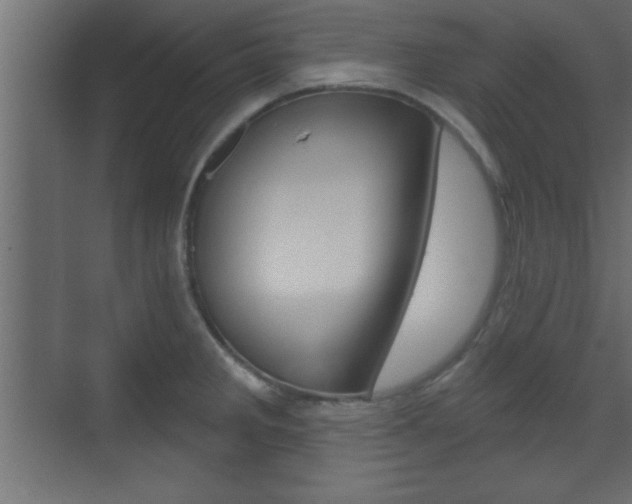 X0000073481285200607310841