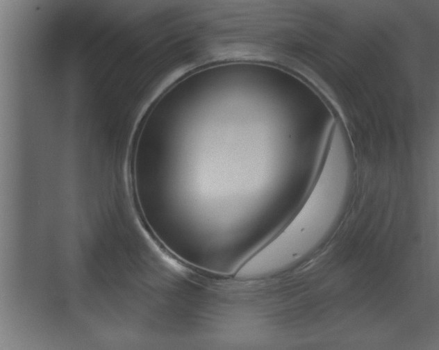 X0000073481293200607310841