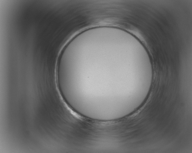 X0000073481294200607310841