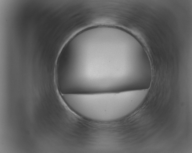 X0000073481295200607310841