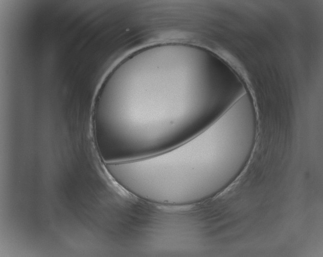 X0000073481296200607310841