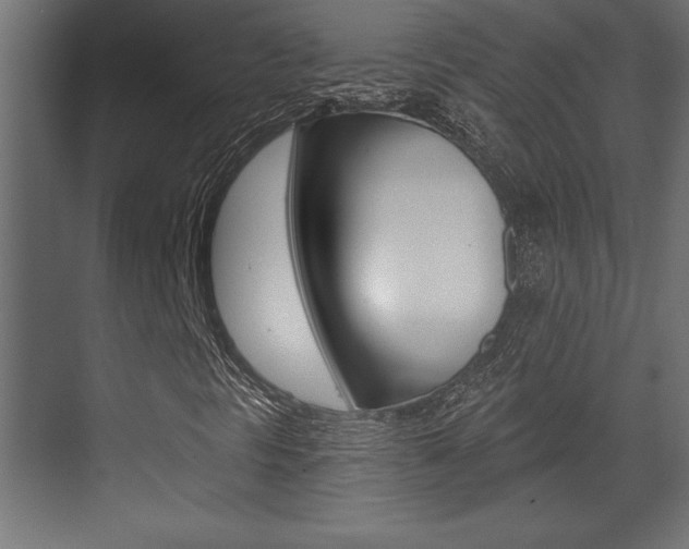 X0000073481297200607310840