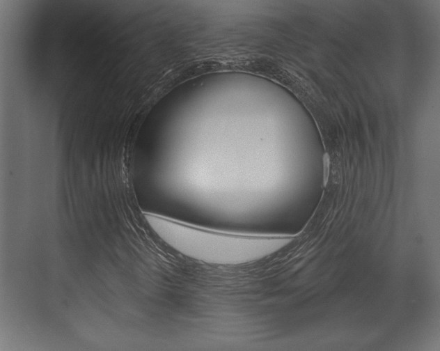 X0000073481298200607310840