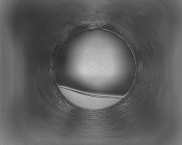 X0000073481300200607310840