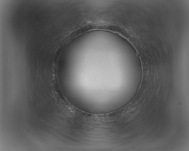 X0000073481301200607310840
