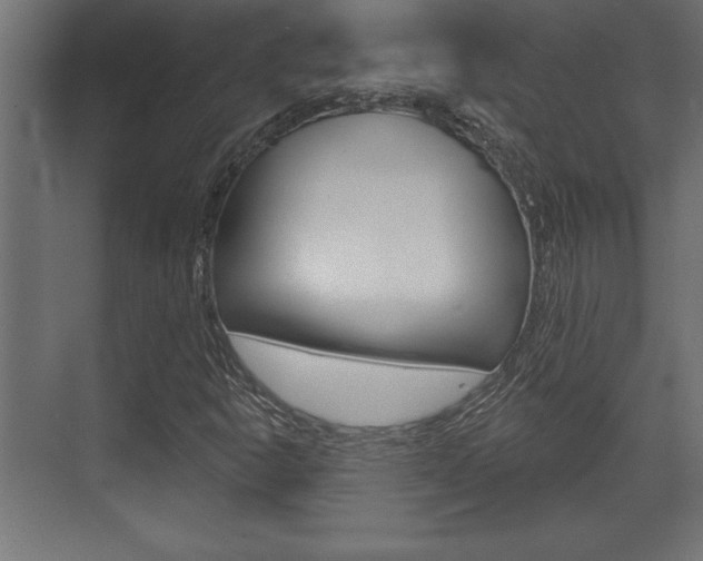X0000073481302200607310840