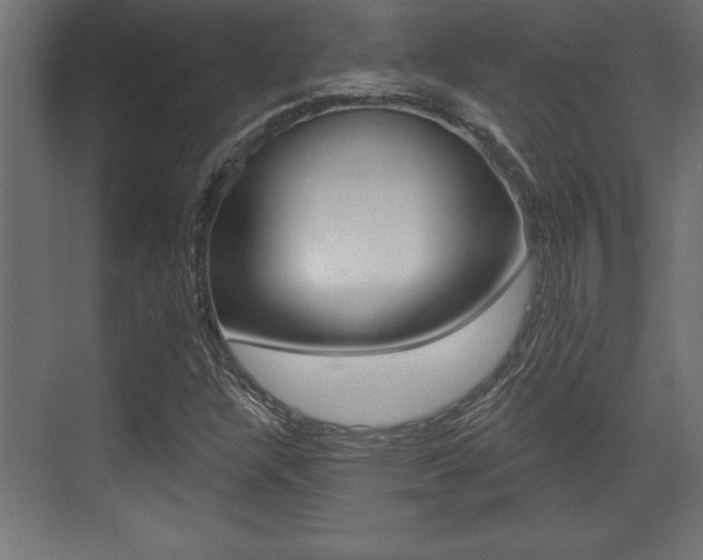 X0000073481304200607310840