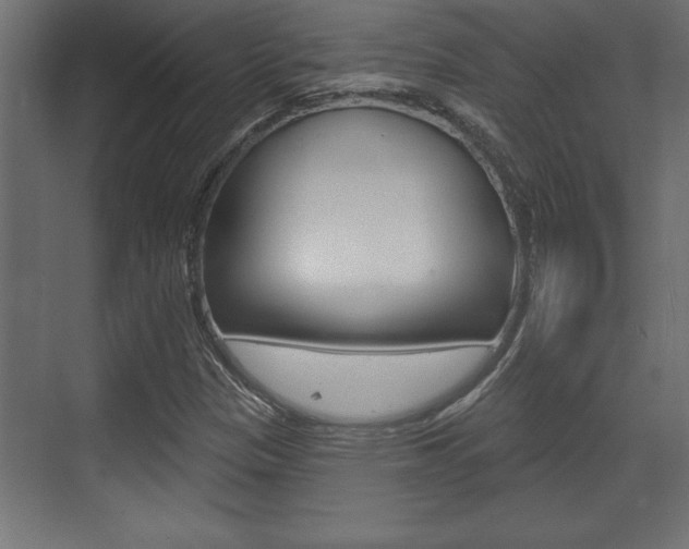 X0000073481305200607310840