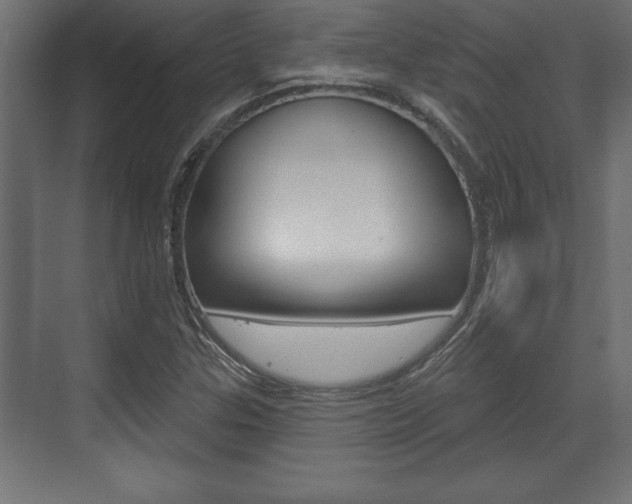 X0000073481307200607310841