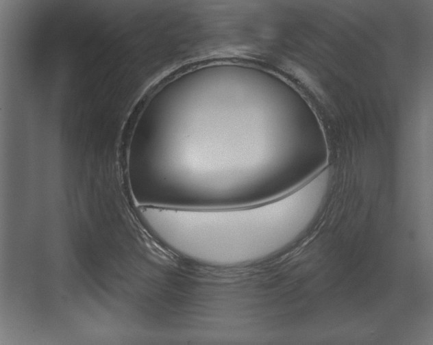 X0000073481308200607310841