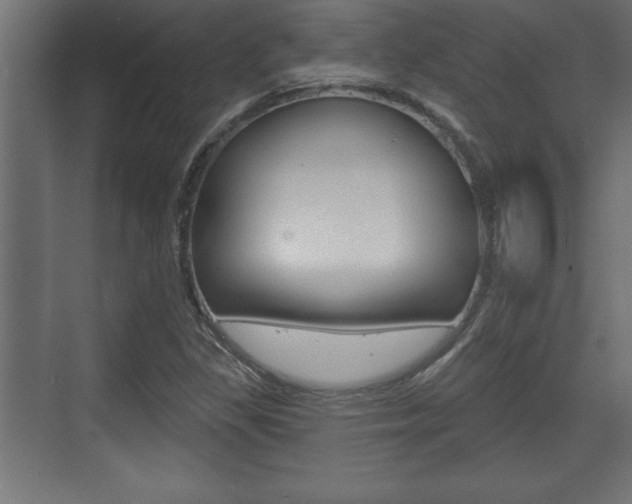 X0000073481309200607310841