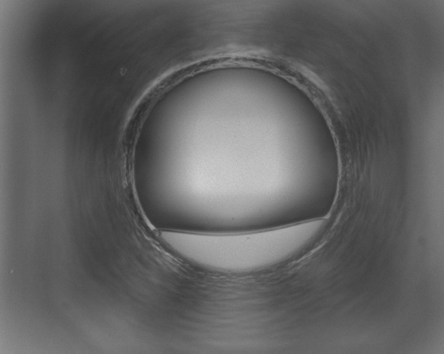 X0000073481310200607310841
