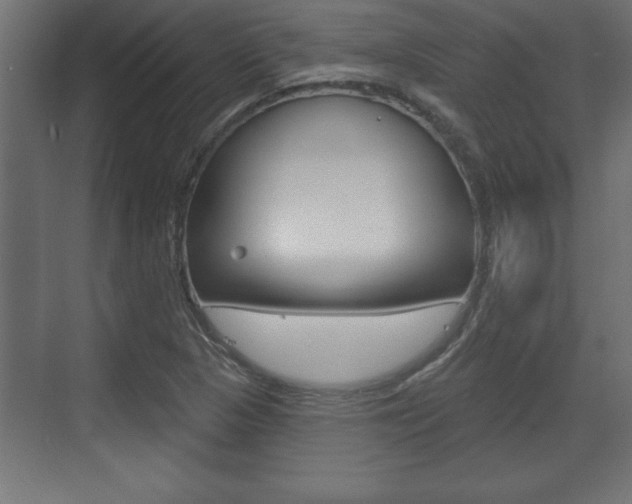 X0000073481313200607310841