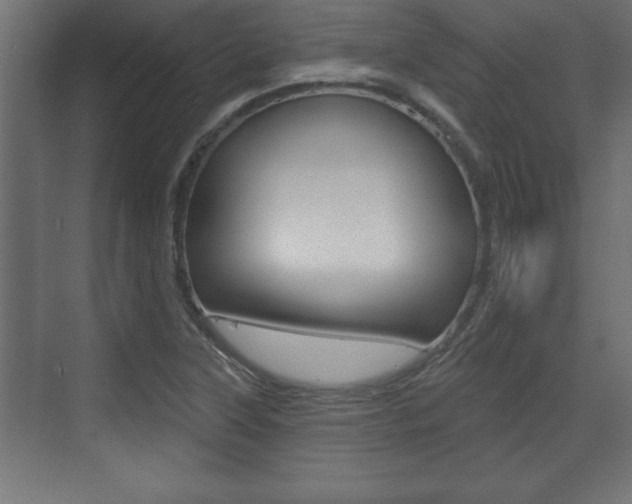 X0000073481315200607310841