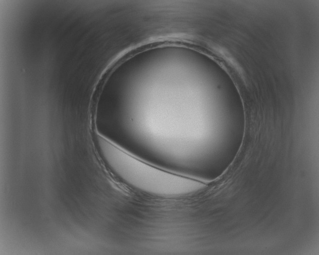 X0000073481316200607310841