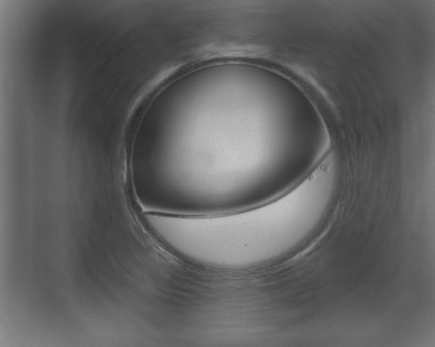 X0000073481317200607310841
