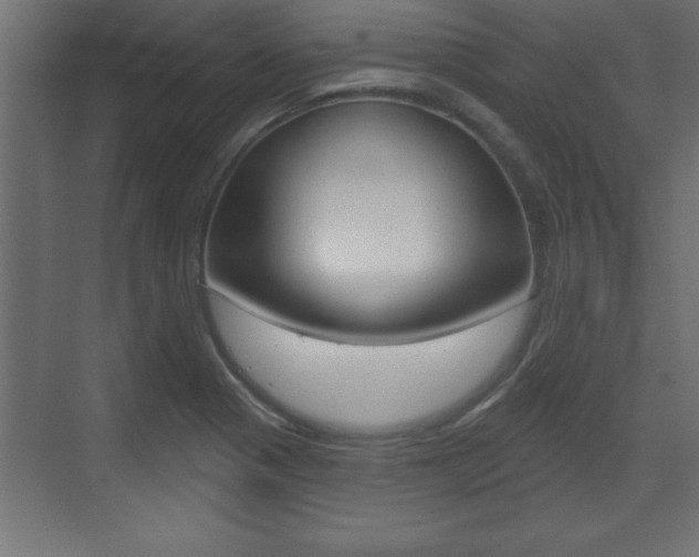 X0000073481321200607310841