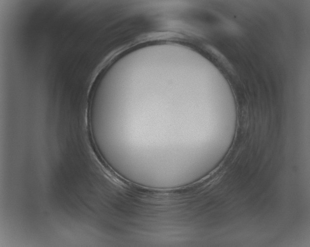 X0000073481322200607310841