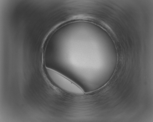 X0000073481323200607310841