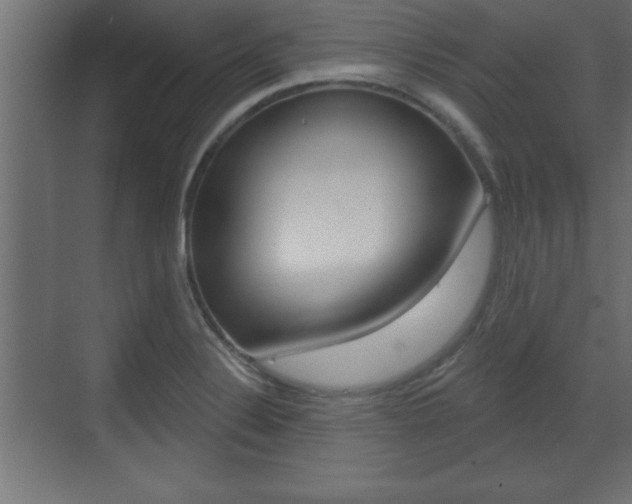 X0000073481324200607310841