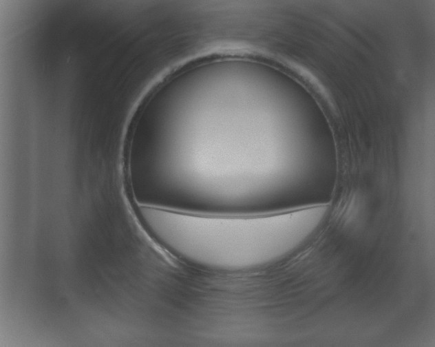 X0000073481327200607310841