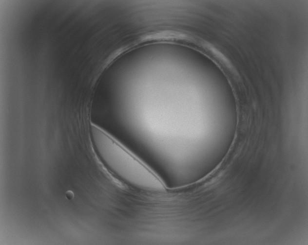 X0000073481329200607310841