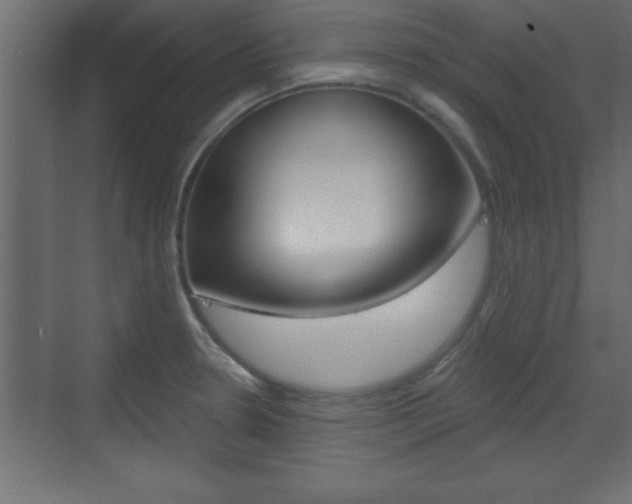 X0000073481330200607310841