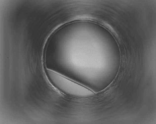 X0000073481331200607310841