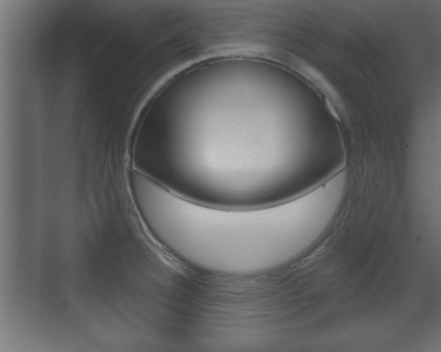 X0000073481332200607310841
