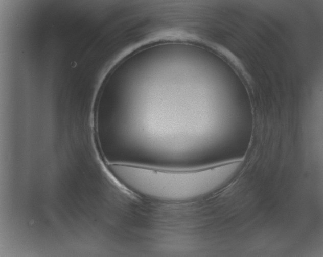 X0000073481335200607310841