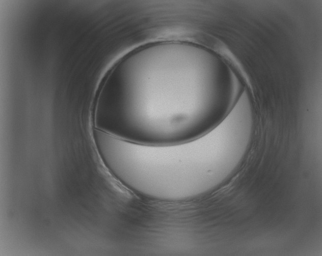 X0000073481336200607310841