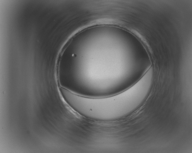 X0000073481342200607310841