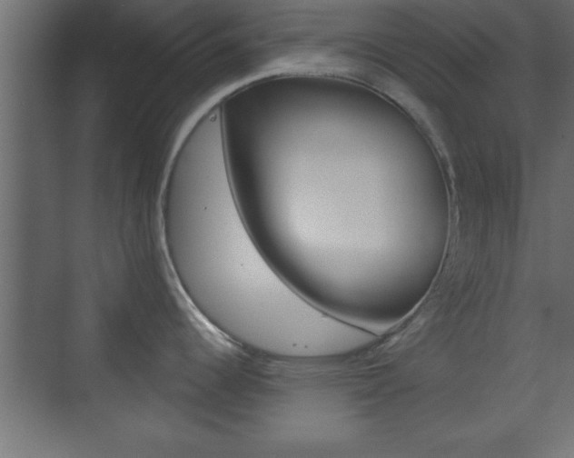 X0000073481344200607310841