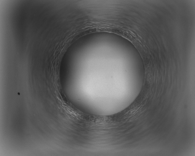 X0000073481345200607310840