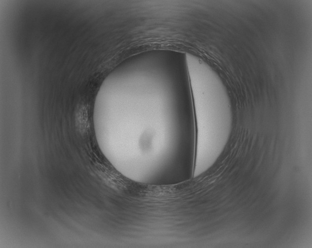 X0000073481347200607310840