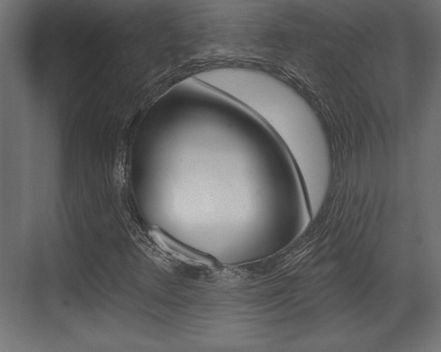 X0000073481348200607310840