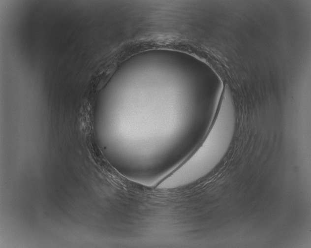 X0000073481349200607310840