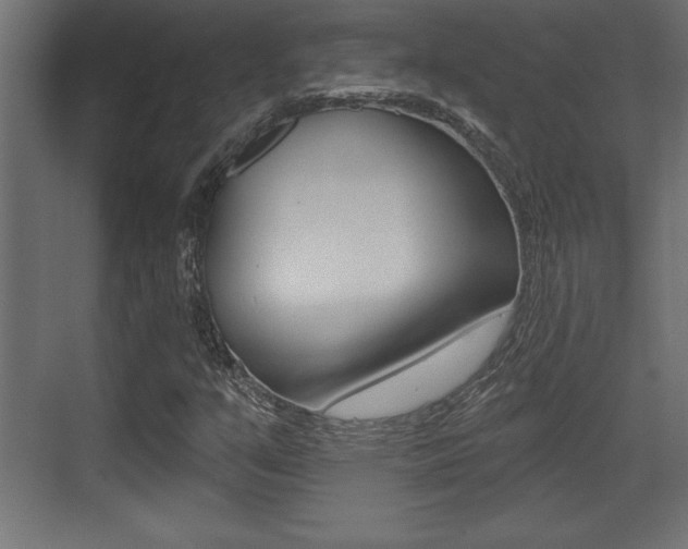 X0000073481351200607310840