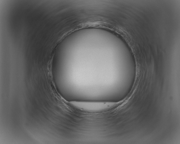 X0000073481353200607310840