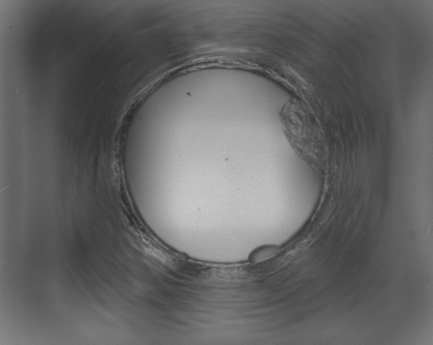 X0000073481354200607310840