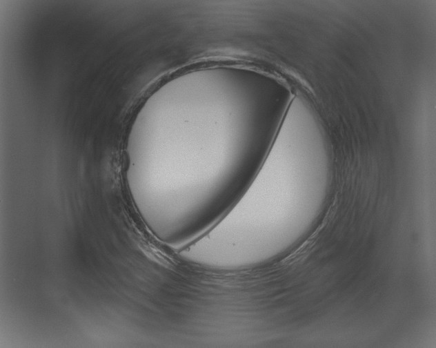 X0000073481355200607310840