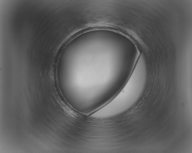 X0000073481356200607310840