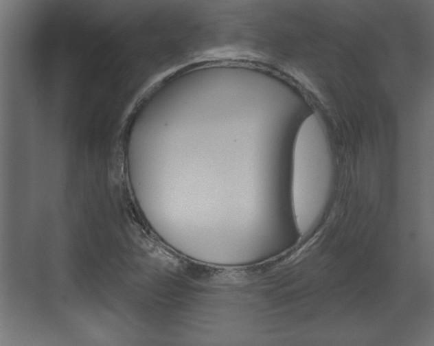 X0000073481358200607310840