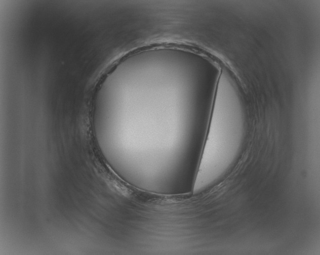 X0000073481359200607310840