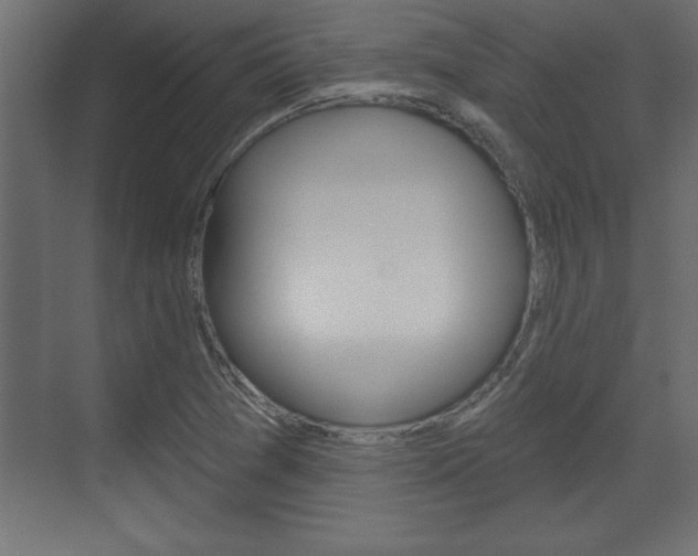 X0000073481361200607310840